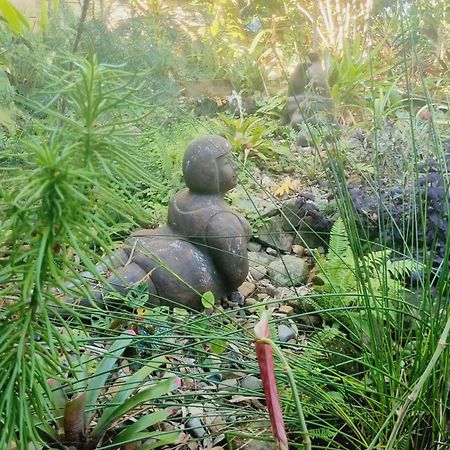 Karragarra Island Birdsong Retreat - On Lamb Island B&B 외부 사진