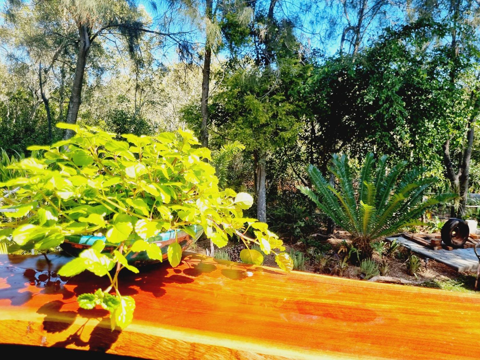 Karragarra Island Birdsong Retreat - On Lamb Island B&B 외부 사진