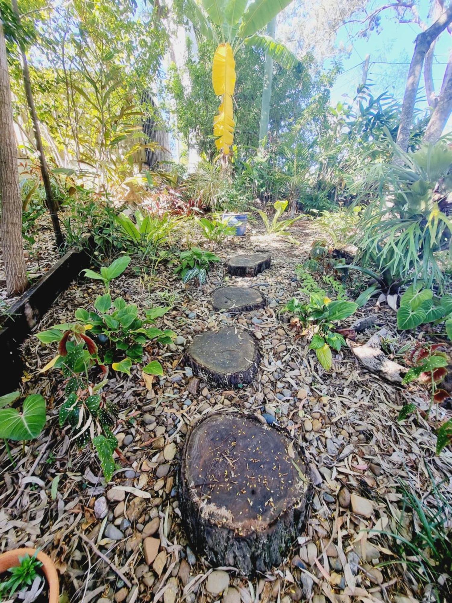 Karragarra Island Birdsong Retreat - On Lamb Island B&B 외부 사진
